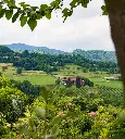 Italy, Veneto, Masari - Panorama Tasting
