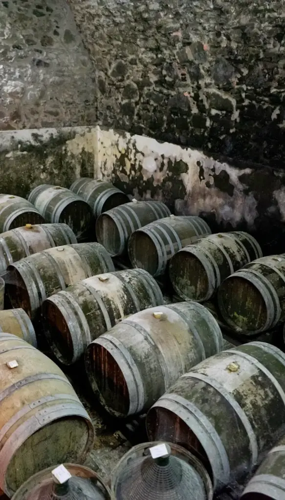Italy, Veneto, Azienda Agricola Giovanni Menti - Volcanic Roots Experience