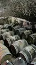 Italy, Veneto, Azienda Agricola Giovanni Menti - Volcanic Roots Experience