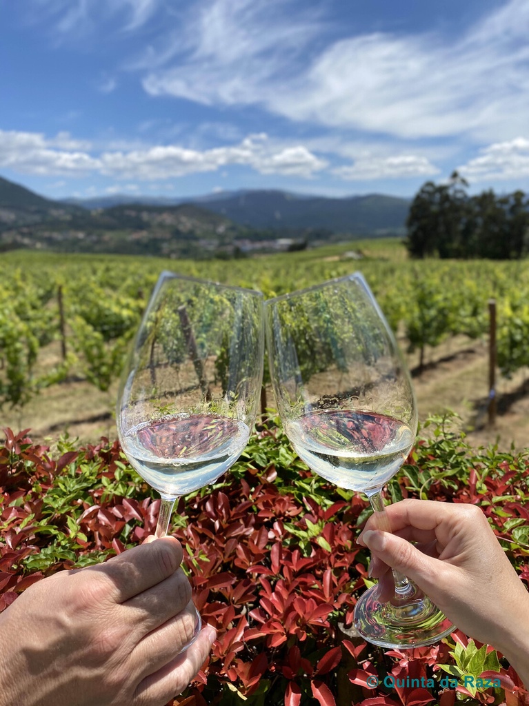 Portugal, Vinho Verde, Quinta da Raza - Discover the wines produced with the Alvarinho grape variety