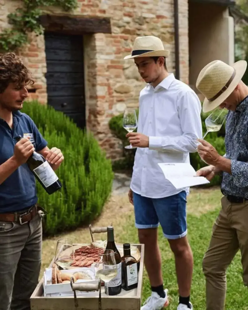 Italy, Marche, Urbino - Boutique Winery Visit & 5 Organic Wine Tastings near Urbino