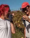 Italy, Piedmont, Asti - Wine Tasting and Winery Visit near Asti and Turin