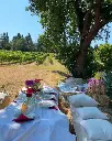 Italy, Tuscany, Casa Lucii - Campagna - Wine Tasting & Tour 
