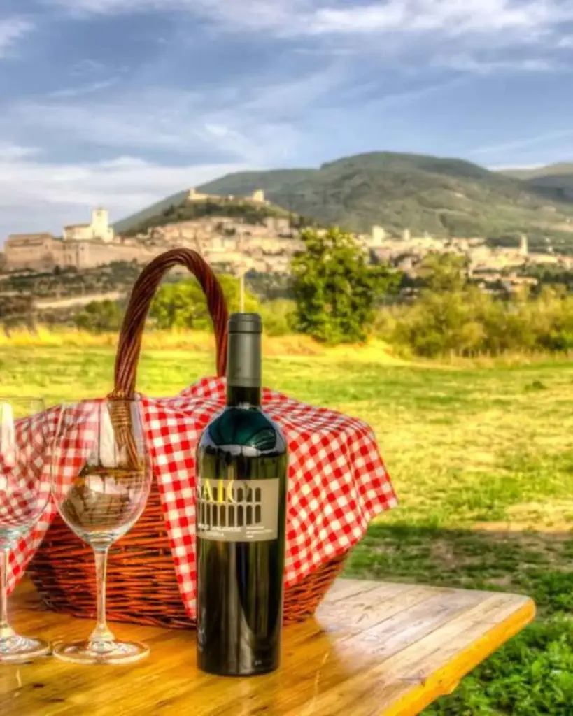 Italy, Umbria, SAIO Assisi - Pic nic lunch in the vineyard of Assisi and guided tasting 5 wines