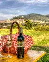 Italy, Umbria, SAIO Assisi - Pic nic lunch in the vineyard of Assisi and guided tasting 5 wines