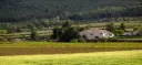 Spain, Murcia, Bodega Balcona - Aceniche Valley in your glass