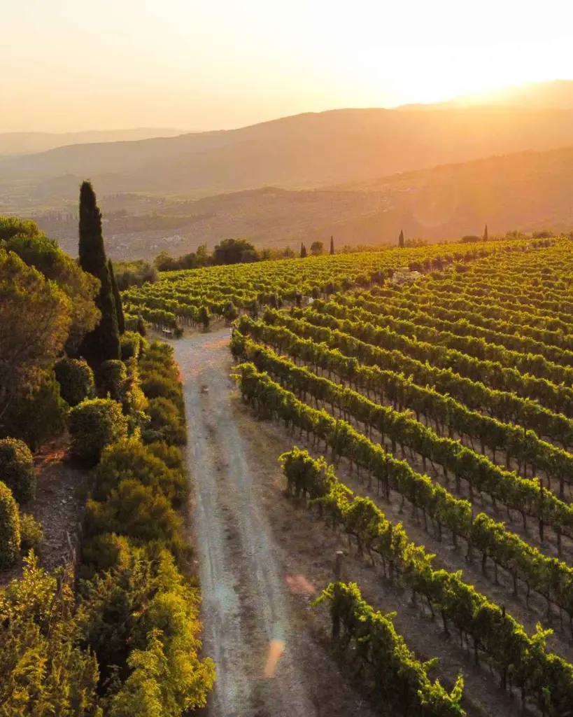 Italy, Tuscany, Buccia Nera - WINE TOUR & TASTING - THREE CHIANTI