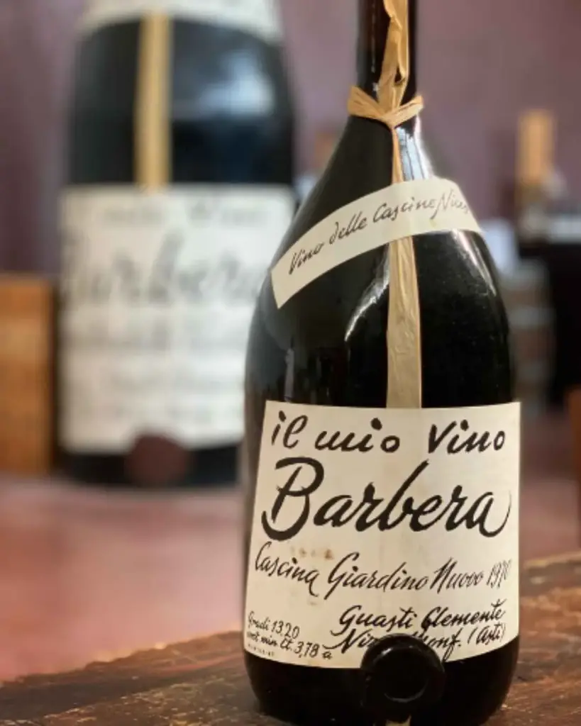 Italy, Piedmont, Clemente Guasti -  Il Mio Vino Barbera