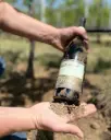 Italy, Veneto, Verona - Boutique Winery Tour & Tasting in Valpolicella