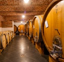 Italy, Piedmont, Poderi Moretti - GRANDI D.O.C.G. EXPERIENCE winery tour