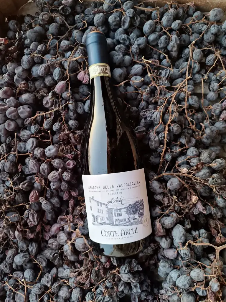 Italy, Veneto, Corte Archi - Vertical Amarone