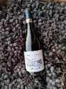 Italy, Veneto, Corte Archi - Vertical Amarone