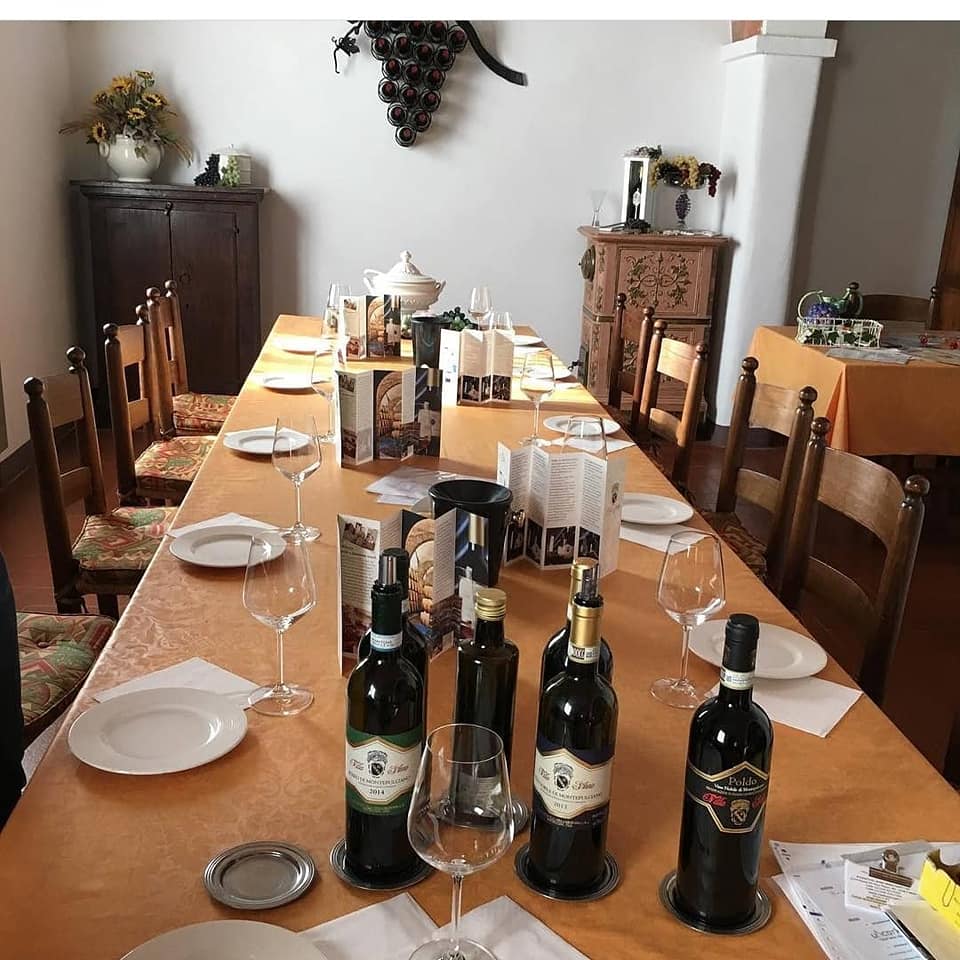 Italy, Tuscany, Villa S.Anna - Winery visit & light lunch