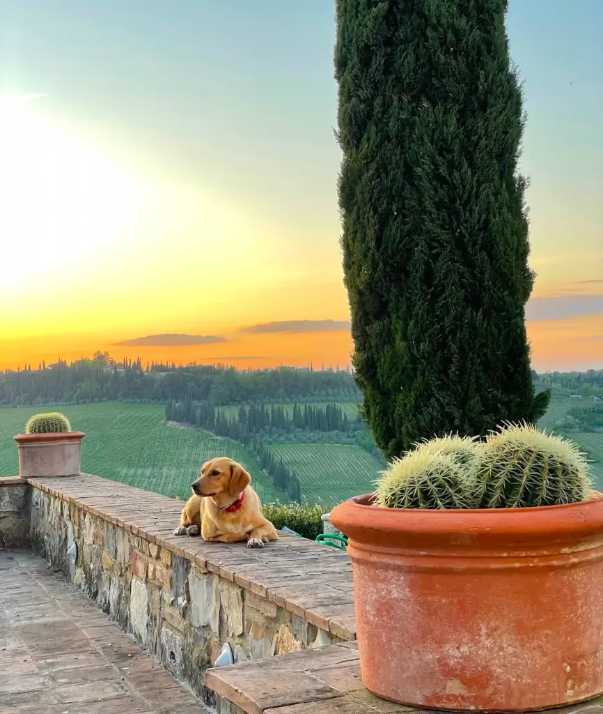 Italy, Tuscany, Poderi Arcangelo - Wine Tasting