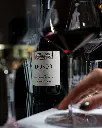 Italy, Piedmont, Dosio Vigneti - Discovering Dosio Vigneti