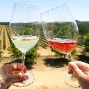 Portugal, Setubal, Herdade Canal Caveira - TOP 5 HCC