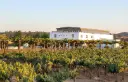 Portugal, Setubal, Herdade Canal Caveira - Portuguese Grapes