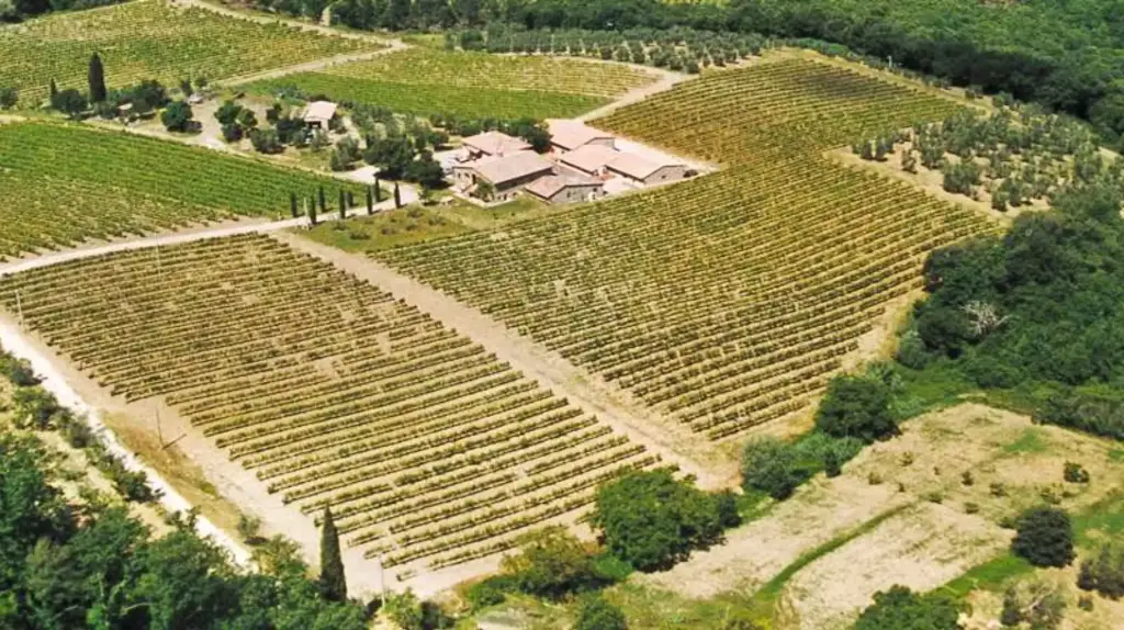 Italy, Tuscany, Societa Agricola Canneta - Brunello