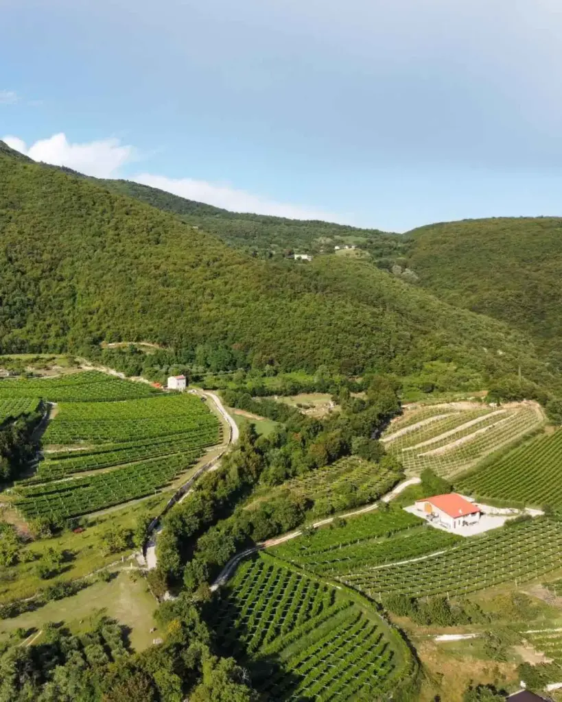 Italy, Veneto, Benazzoli - Benazzoline Wine Experience