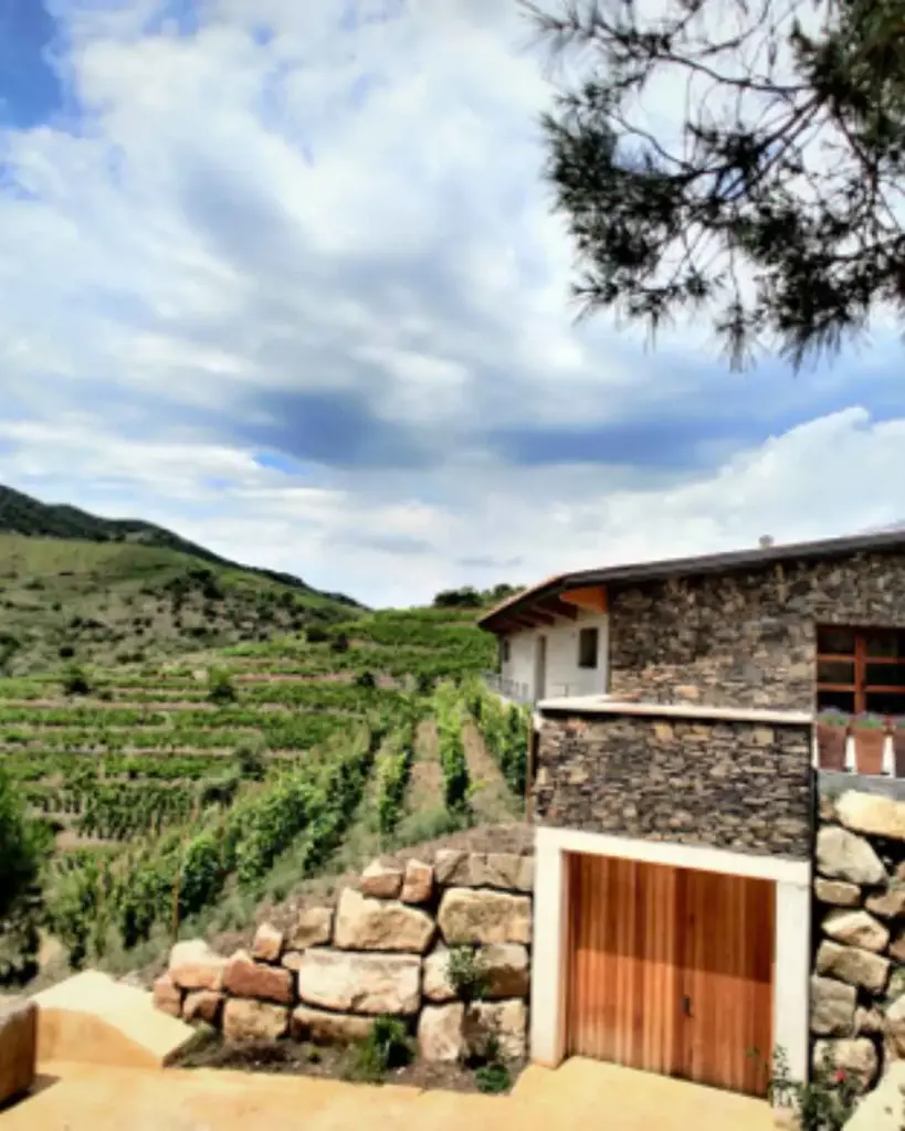 Spain, Catalonia, Família Nin-Ortiz - Visit and Tasting in Our Winery