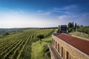 Slovenia, Slovenian Istria, Posestvo Brič - Wine degustation & winery tour