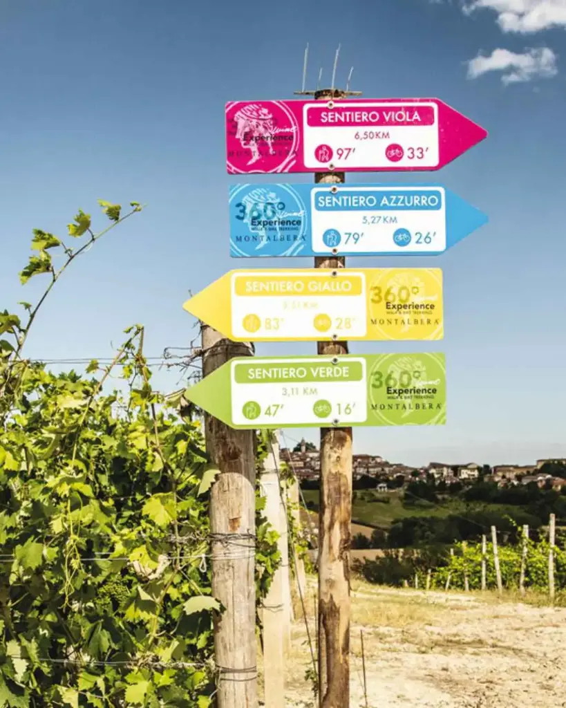 Italy, Piedmont, Montalbera - Tour and Tasting "CLASSIC"