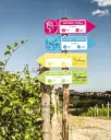 Italy, Piedmont, Montalbera - Tour and Tasting "CLASSIC"