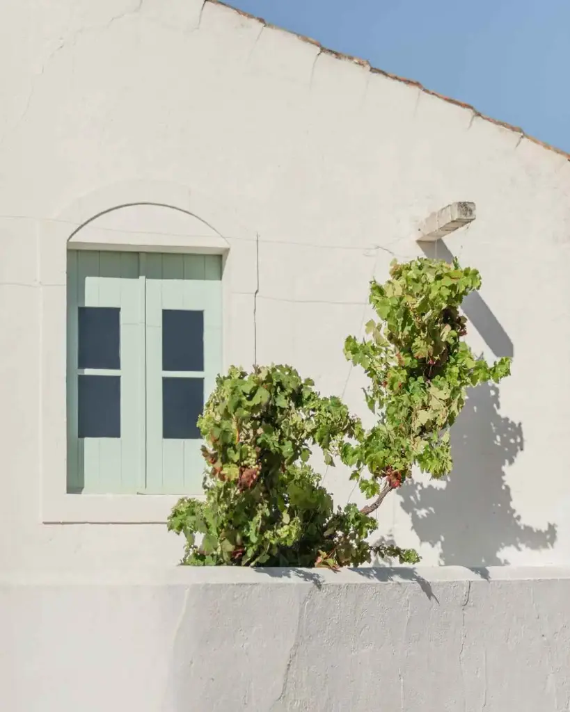 Portugal, Algarve, Morgado do Quintao - A Bottle of White Wine, Oysters Sunset