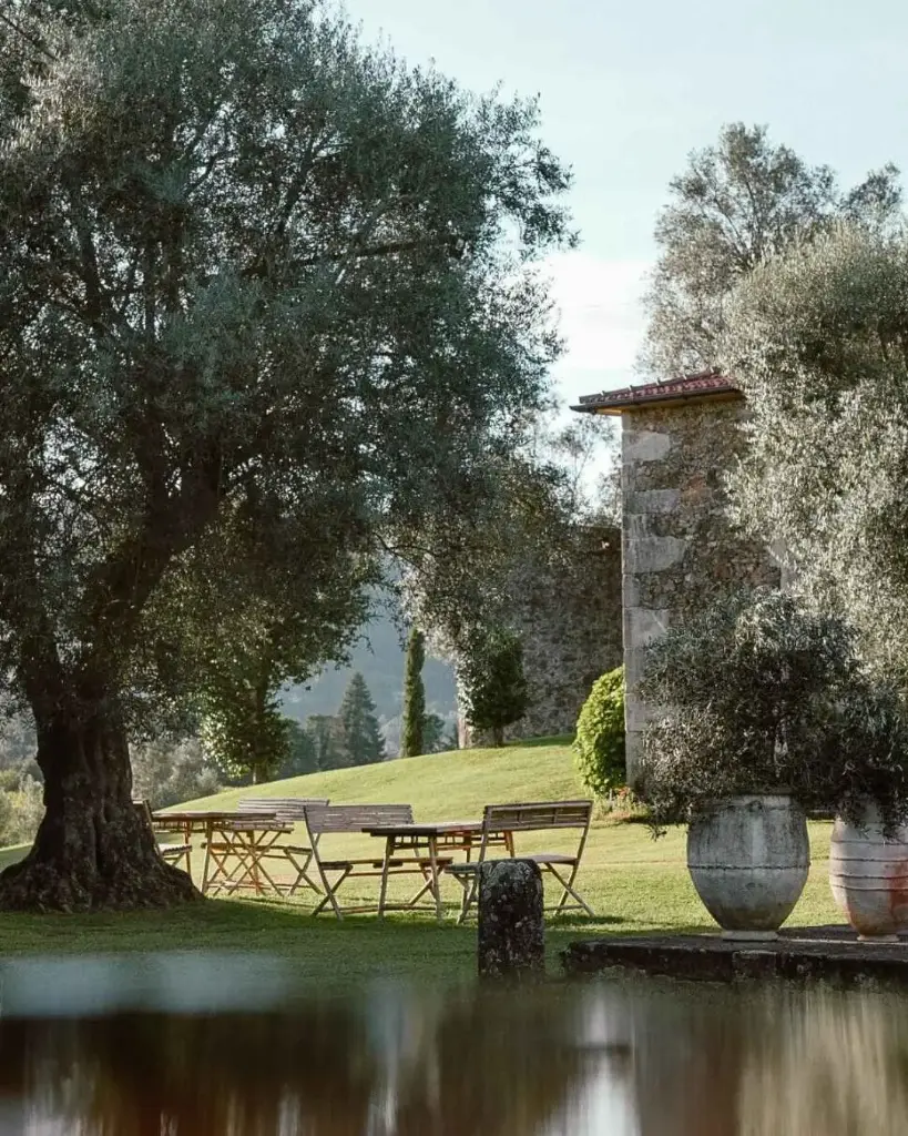 Portugal, Vinho Verde, Terra Rosa Country House & Vineyards - Wine Tasting