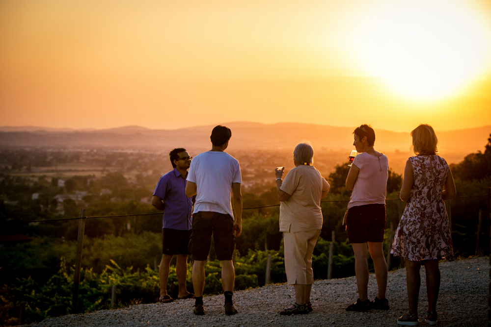 Italy, Umbria, Tili Vini - Tasting of BIO wines with panoramic view