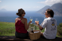 Italy, Sicily, Tenuta di Castellaro - Pic Nic In The Vineyard