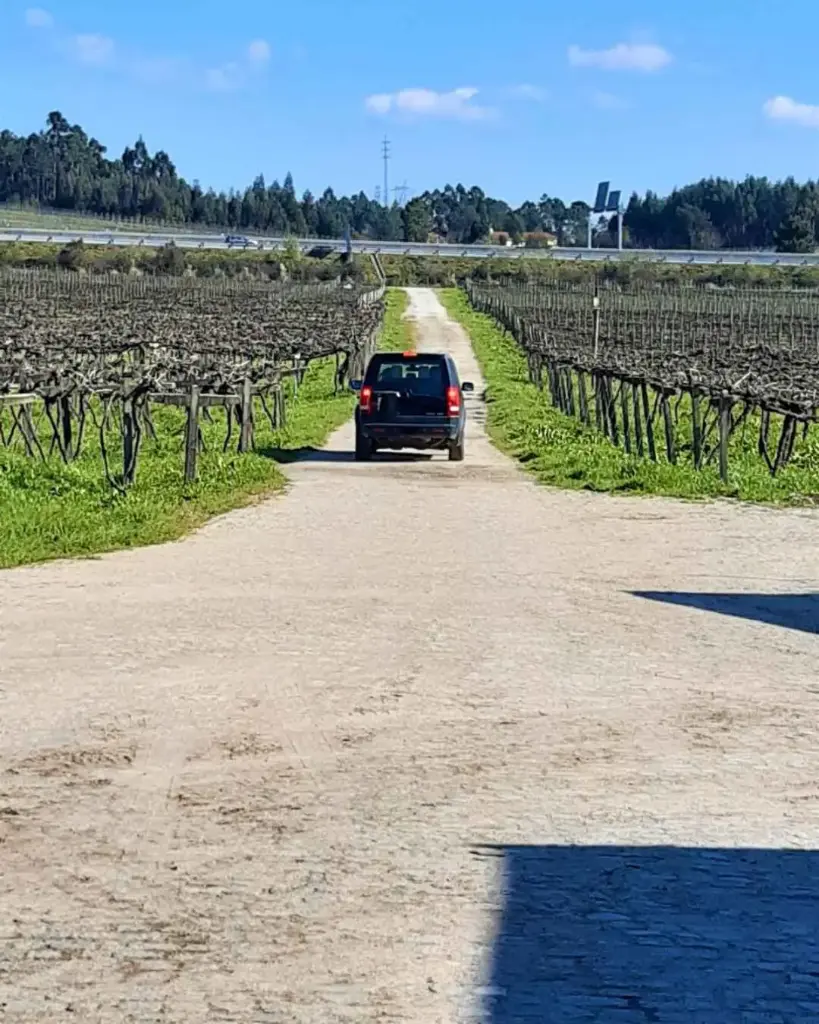 Portugal, Vinho Verde, Quinta das Arcas - Jeep Tour