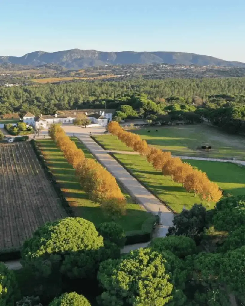 Portugal, Setubal, Herdade do Perú -Vineyards buggy tour with wine tasting