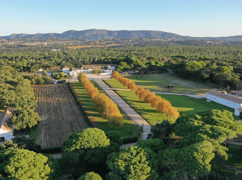 Portugal, Setubal, Herdade do Perú -Vineyards buggy tour with wine tasting