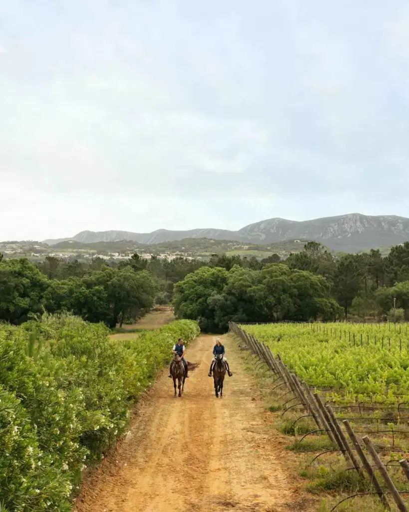 Portugal, Setubal, Herdade do Perú - Gallop & Wine: A Tasting Adventure