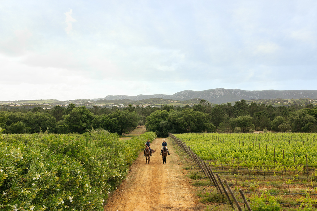 Portugal, Setubal, Herdade do Perú - Gallop & Wine: A Tasting Adventure