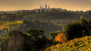 Italy, Tuscany - Sunset Wine Tour from Siena