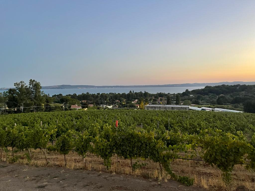 Italy, Lazio, Cantine Capitani - Tour and Tasting