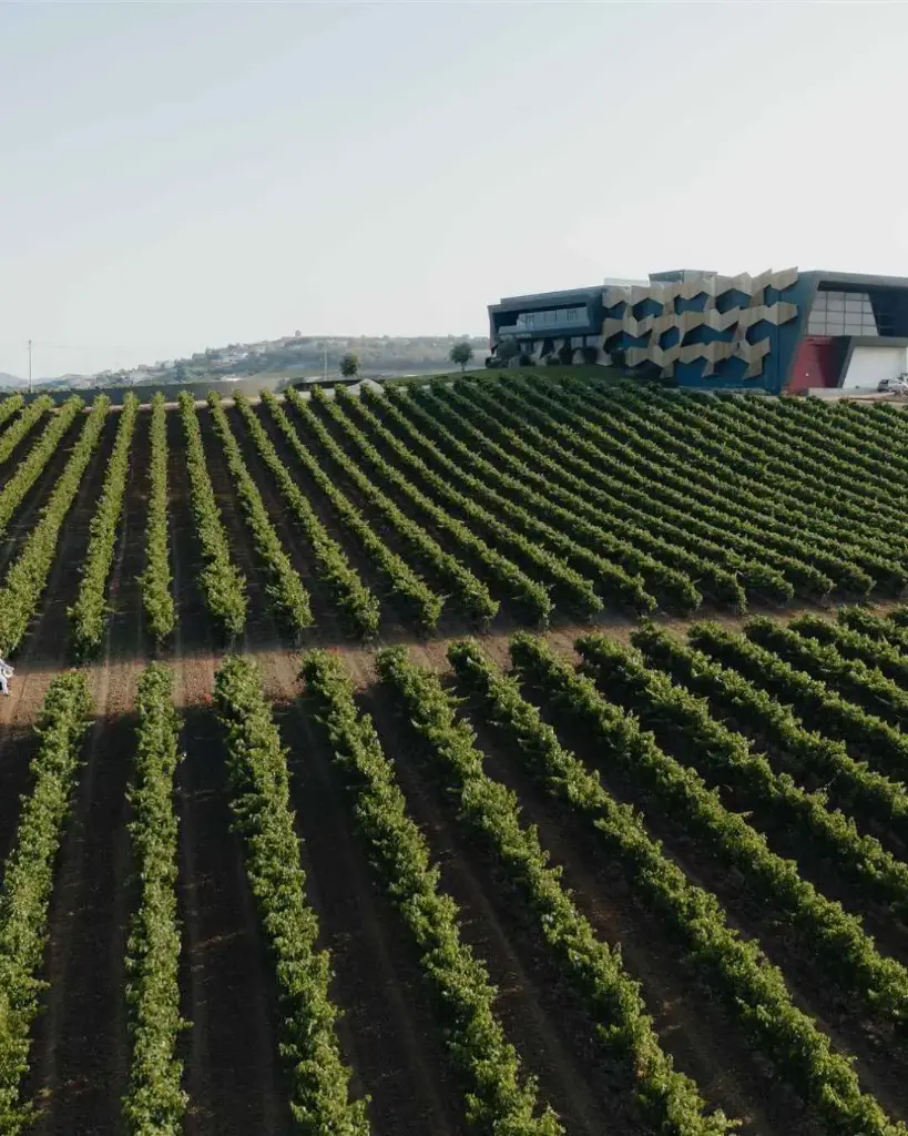 Portugal, Lisboa, Quinta Da Almiara - Visit and tasting