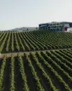 Portugal, Lisboa, Quinta Da Almiara - Visit and tasting