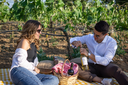 Italy, Apulia, Cantina Petrelli - Pic-nic in the vineyards