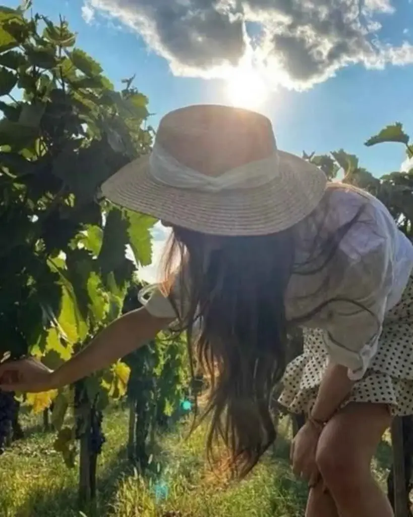 Serbia, Sumadija, Winery Despotika - Visit and tasting 3