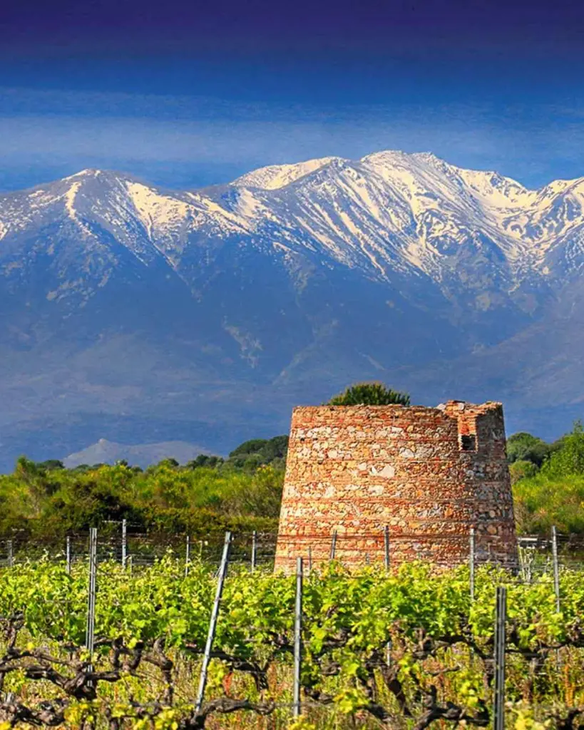 France, Languedoc-Roussillon, Domaine de Rombeau - Premium tour and wine tasting