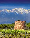 France, Languedoc-Roussillon, Domaine de Rombeau - Premium tour and wine tasting