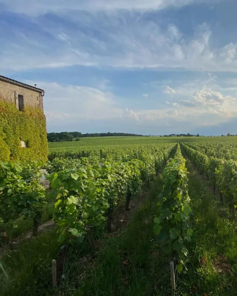 France, Bordeaux, Château Destieux - Prestige Tasting of the Dauriac Vineyards