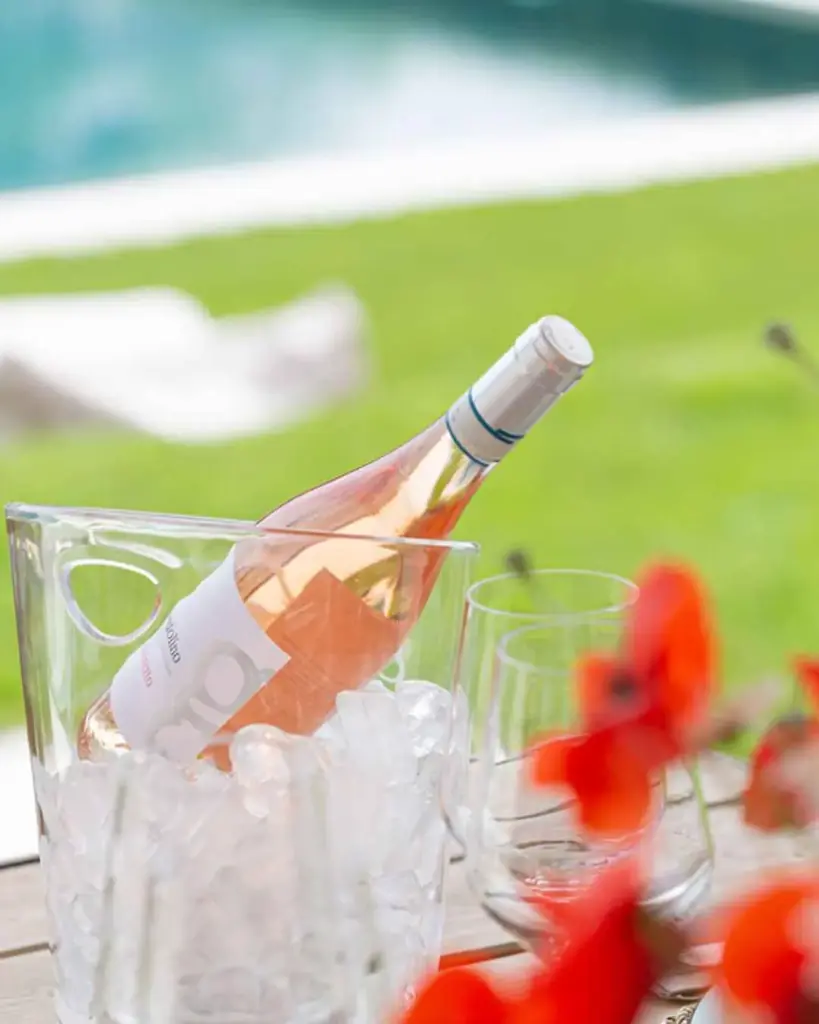 Italy, Veneto, Gorgo Winery - Exclusive Wine Tasting