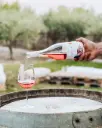 Italy, Apulia, Sacco Vignaioli Apuli - Extra visit with tasting of 3 wines