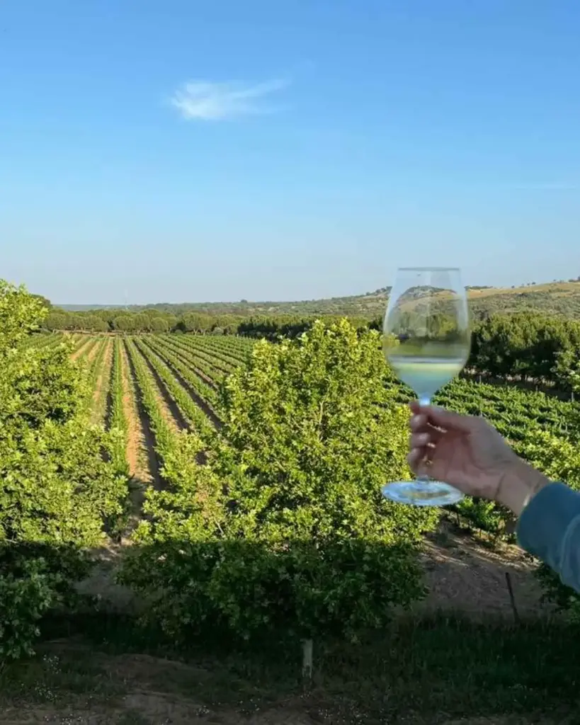 Portugal, Setubal, Herdade Canal Caveira - "I want to taste everything"
