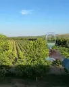 Portugal, Setubal, Herdade Canal Caveira - "I want to taste everything"