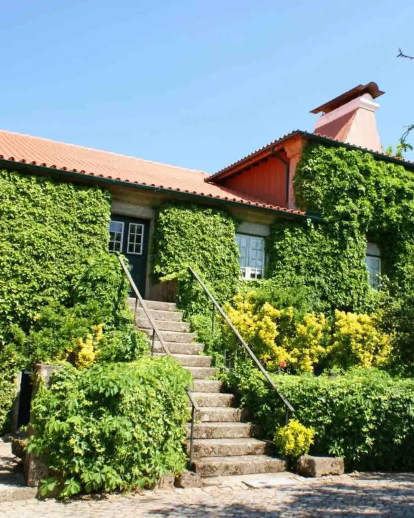 Portugal, Vinho Verde, Casa Da Tojeira - Standard Wine Tasting